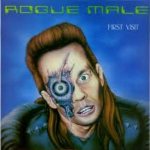 Rogue Male - First Visit cover art