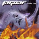 Jaguar - Wake Me cover art
