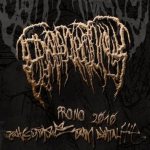 Epicardiectomy - Promo 2010 cover art
