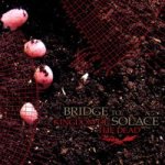 Bridge to Solace - Kingdom of the Dead cover art