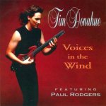 Tim Donahue - Voices in the Wind cover art