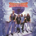 Scorpions - Does Anyone Know cover art