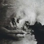 Grey Skies Fallen - Introspective cover art