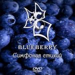 Blueberry - Симфония стихий cover art