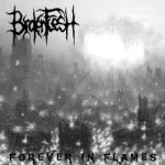 Broken Flesh - Forever in Flames cover art