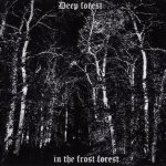 Deep Forest - In the Frost Forest cover art