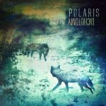 Polaris - Dichotomy cover art