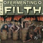 Down from the Wound - Fermenting in Five-Way Filth cover art
