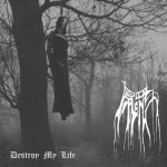 Original Sin - Destroy My Life cover art