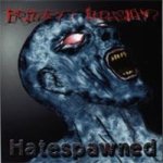 Frozen Illusion - Hatespawned cover art