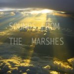Sounds From The Marshes - Sounds From the Marshes cover art