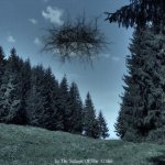Basarabian Hills - In the Stillness of the Codrii cover art