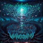 Vulvodynia - Cognizant Castigation cover art