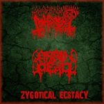 Abhorer - Zygotical Ecstacy cover art