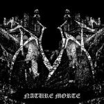 Dun - Nature Morte cover art