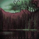 Scarlet Forest - Underdogma cover art