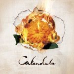 a crowd of rebellion - Calendula cover art
