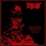 Black Vul Destruktor - Bestial Obscure Metal Kaos cover art