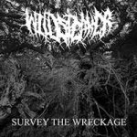 Wildspeaker - Survey the Wreckage cover art