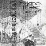 Druadan Forest - Minas Tirith cover art