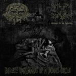 Slow and Painful Mental Wounds - Endless Nightmares of a Vicious Circle cover art