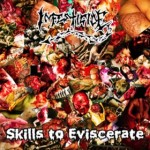 Infesticide - Skills to Eviscerate cover art