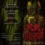Vaginal Flatulation - Refresh the Blood (Promo 2009) cover art