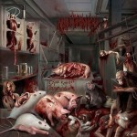 Malignancy - Cross Species Transmutation cover art