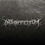 Inquinamentum - Lost​/​Risen cover art