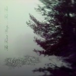 Worthless Life - The Forest Weeps for Thee cover art