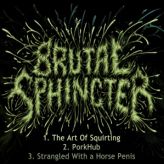 Brutal Sphincter - Demo cover art