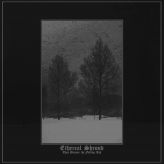 Ethereal Shroud - They Became the Falling Ash cover art