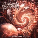 Fecundation - Decomposition of Existence cover art