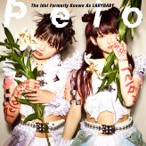 The Idol Formerly Known As LADYBABY - Pelo cover art