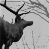 Agalloch - The Mantle cover art