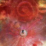 Animals as Leaders - The Joy of Motion cover art