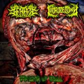 GerbeЯ / Clitorodectomía - Throwing Up Skull cover art