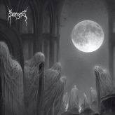 Borgne - Return to the Past cover art