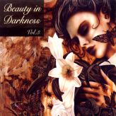 Various Artists - Beauty In Darkness Vol. 3 cover art