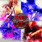 Mr. Big - Live from Milan cover art
