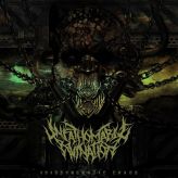 Unfathomable Ruination - Idiosyncratic Chaos cover art