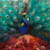 Opeth - Sorceress cover art