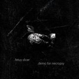 Fetus Slicer - Demo for Necropsy cover art