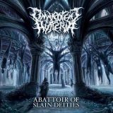 Omnipotent Hysteria - Abattoir of Slain Deities cover art