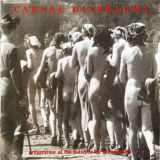 Carnal Diafragma - Preparation of the Patients for Examination cover art