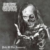 Black Earth - Path of the Immortal cover art