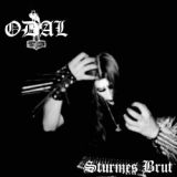 Odal - Sturmes Brut cover art