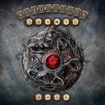 Revolution Saints - Rise cover art