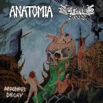 Anatomia / Cryptic Brood - Infectious Decay cover art