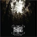 A Cloud Forest - These Mournful Days cover art